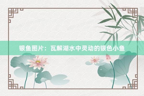 银鱼图片：瓦解湖水中灵动的银色小鱼